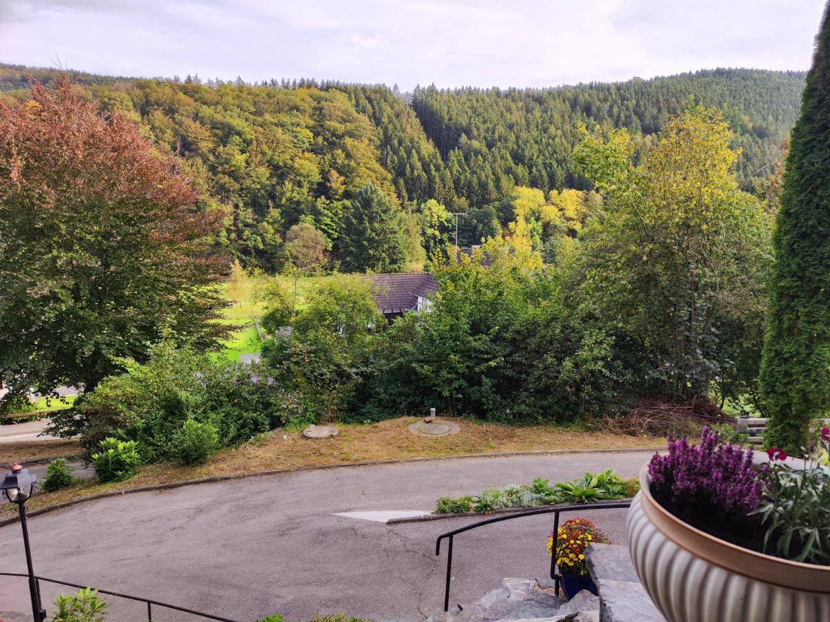 Wohlfuehloase Eifelsteig Villa Simmerath Exterior photo